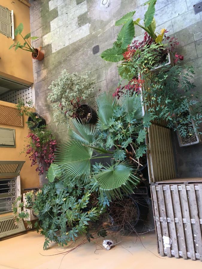 Heart Of Nice Harboor Cosy And Central Экстерьер фото